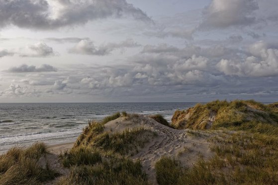 Nordseeküste Nordseeküste